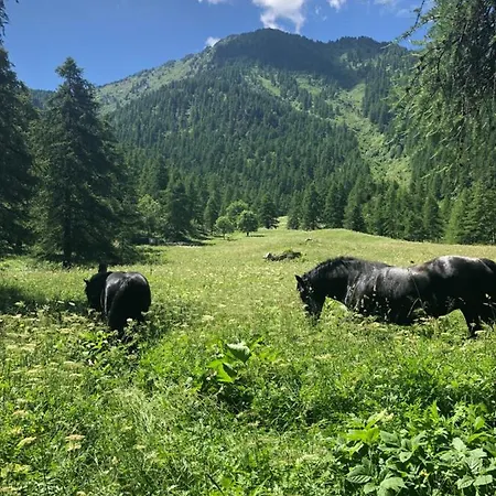Alloggio per agriturismo Ciambun