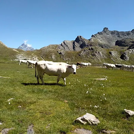 Ciambun Alloggio per agriturismo *