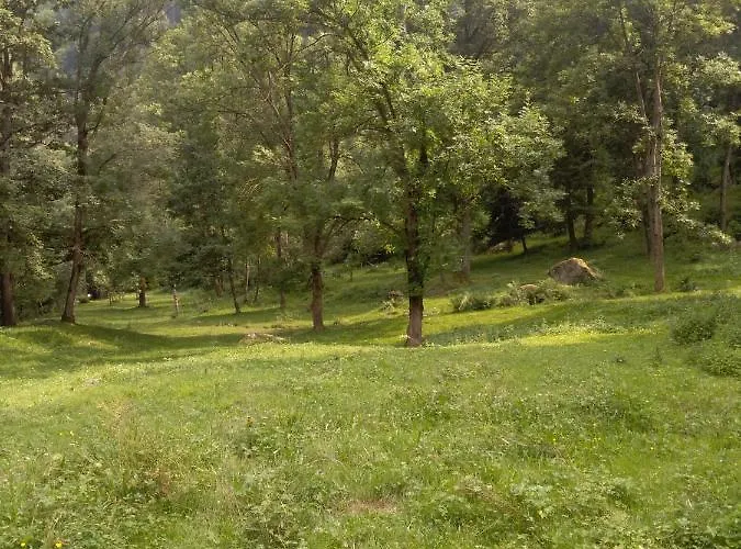 Ciambun * سامبير